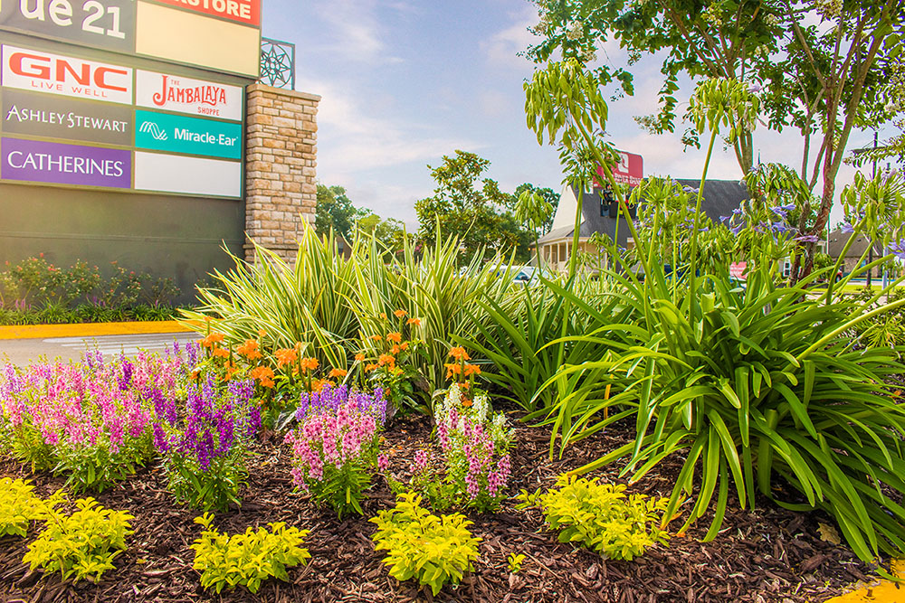 Landry's Landscape Portfolio